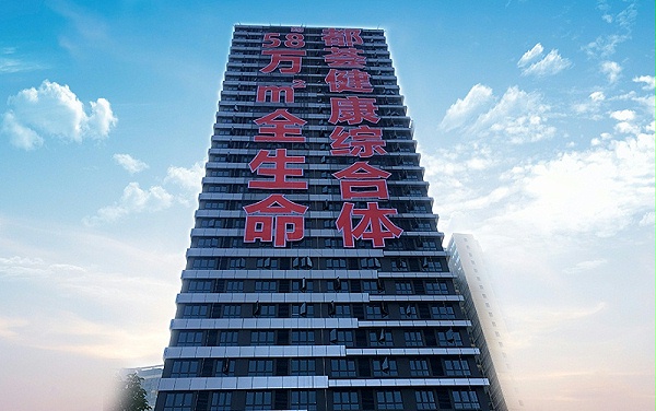 网格字6