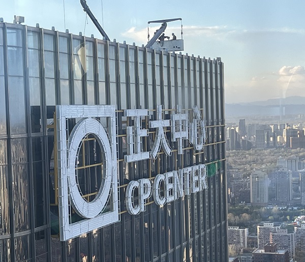 2026年幕墙发光字厂家黑马榜曝光：这5家凭什么敢质保10年？