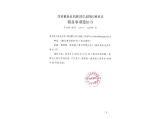 一般纳税人