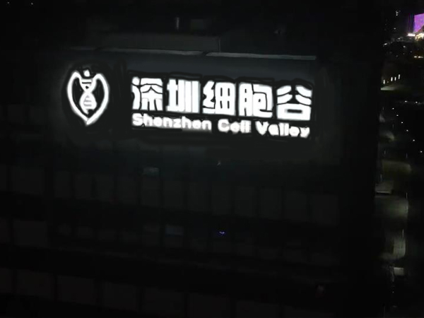 2026年幕墙发光字厂家TOP5榜单浮现：第3名的装配工艺让老牌厂家慌了？